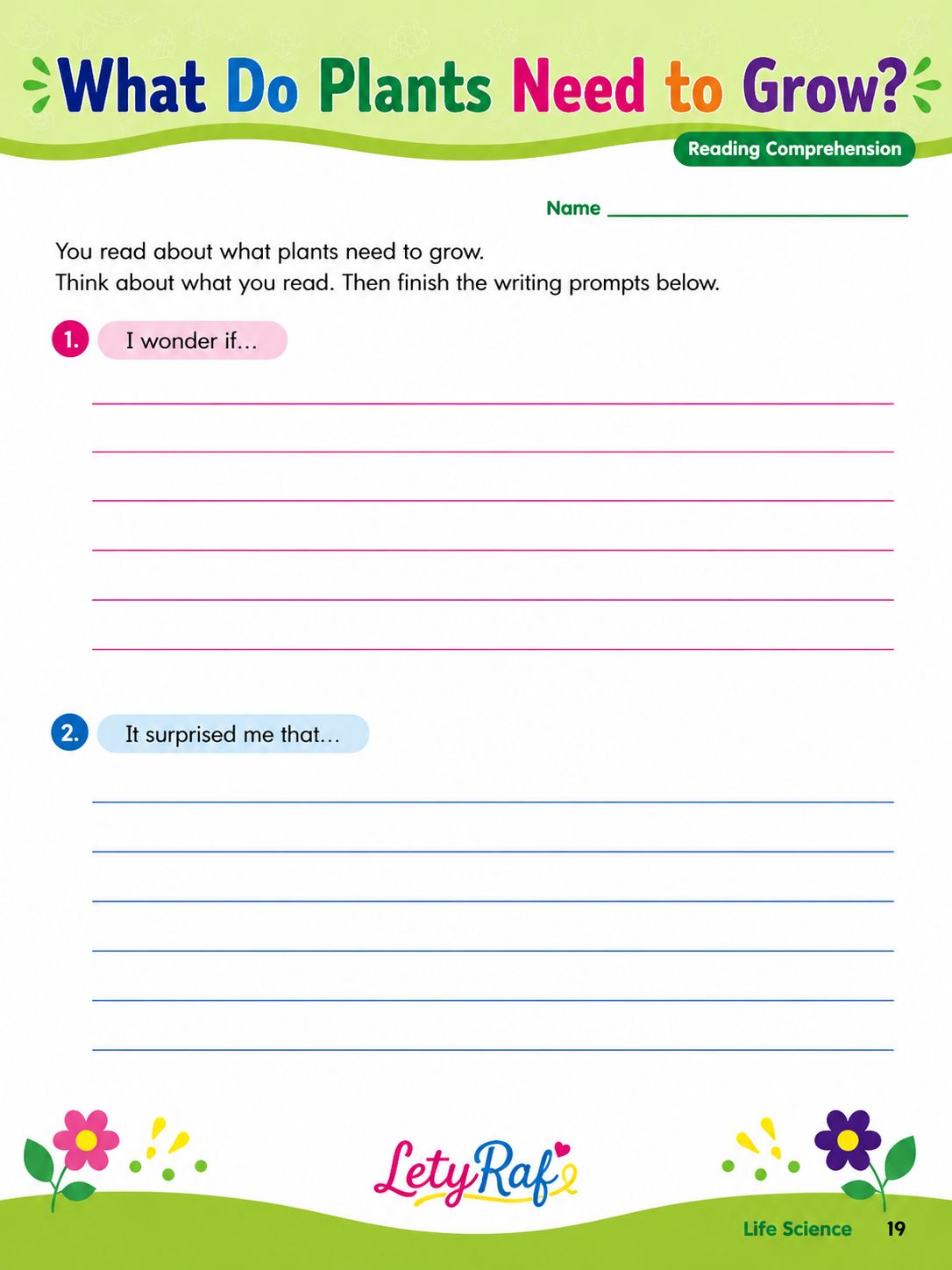 Plants Need Light and Water to Grow | Printable Science Worksheet