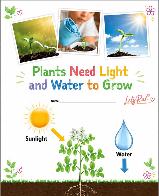 Plants Need Light and Water to Grow | Printable Science Worksheet