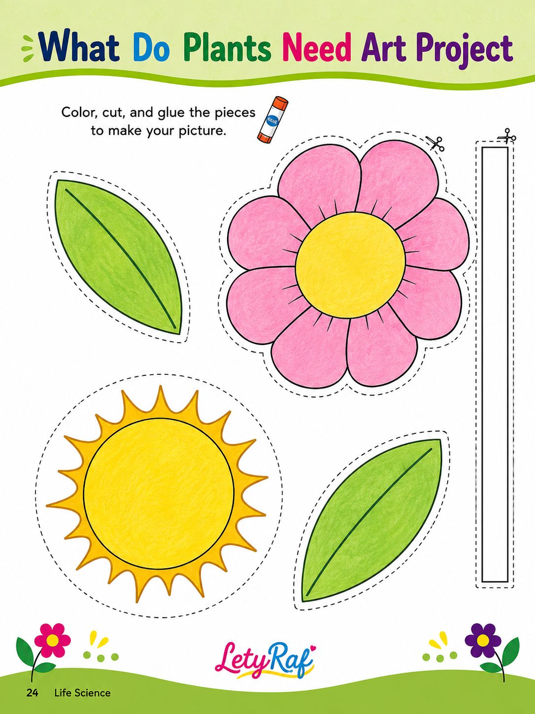 Plants Need Light and Water to Grow | Printable Science Worksheet