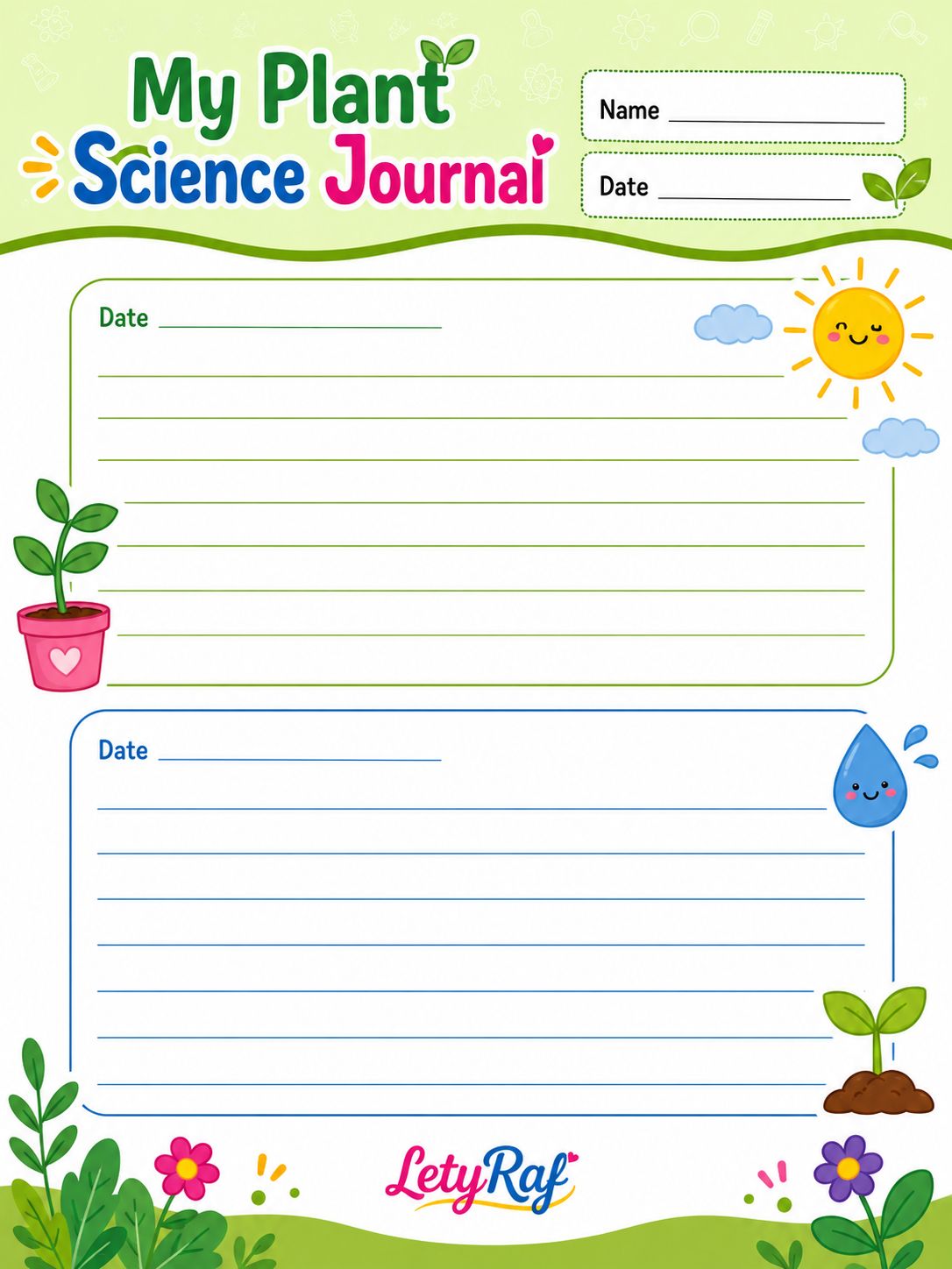 Plants Need Light and Water to Grow | Printable Science Worksheet