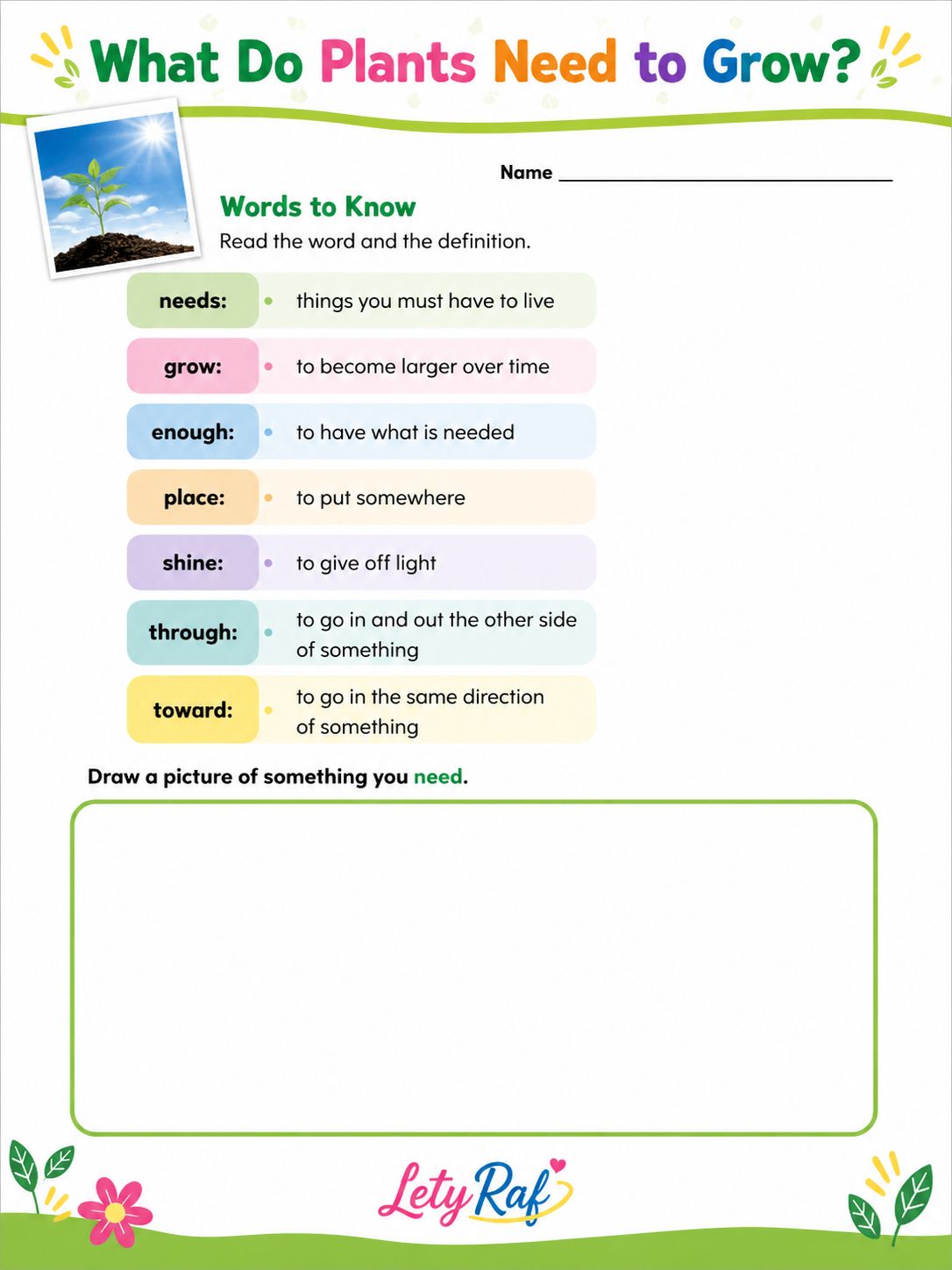 Plants Need Light and Water to Grow | Printable Science Worksheet