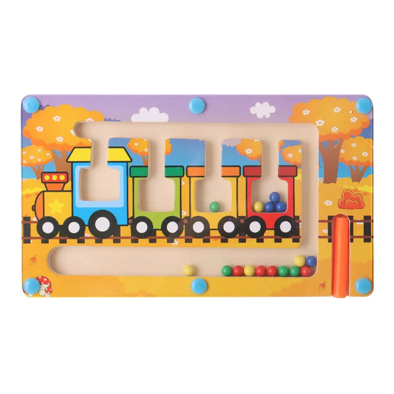 Magnetic Montessori Sorting Board – Color & Shape Learning Toy for Kids